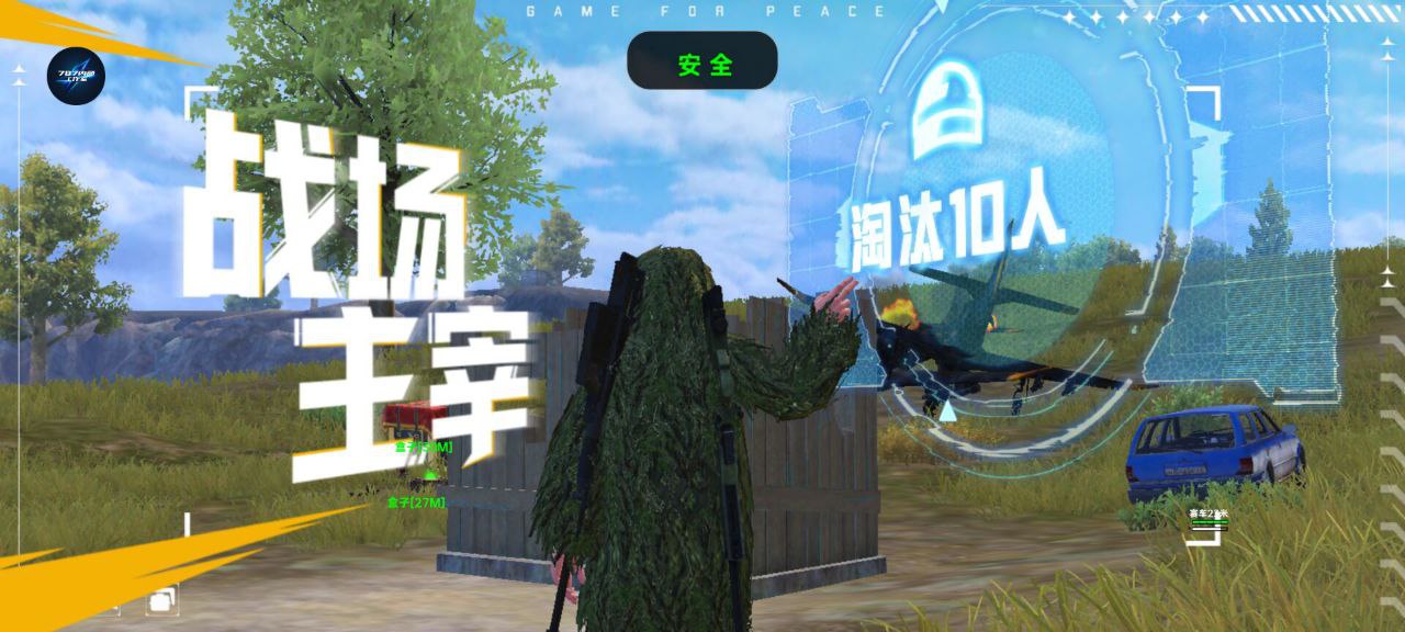 和平精英正规卖挂平台【小笼包一体直装】午后